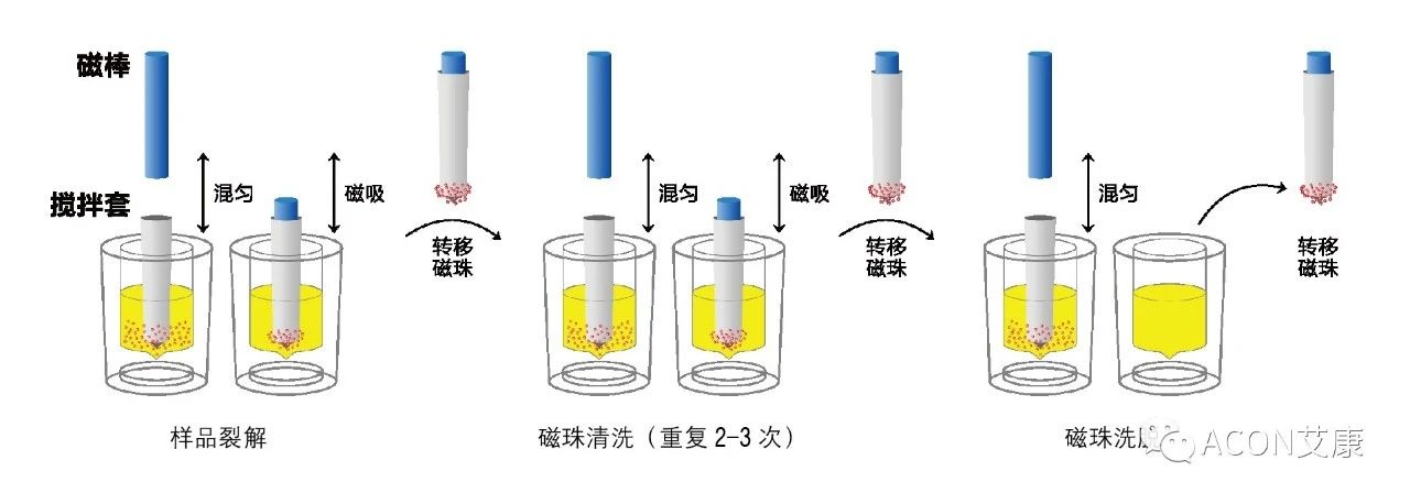 Promotor®核酸提纯仪， 让基因提纯更便捷。