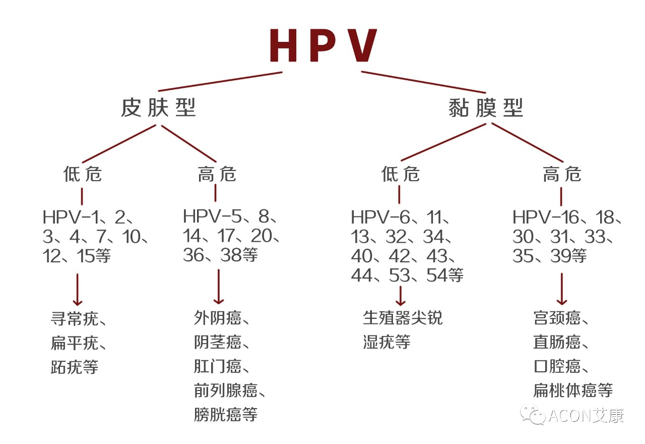 HPV疫苗有必要打吗？二价、四价、九价要如何选择！