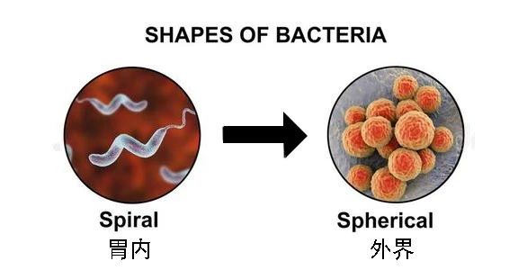 这种致癌物传染性极强，50%中国人都有！很多人还不知道