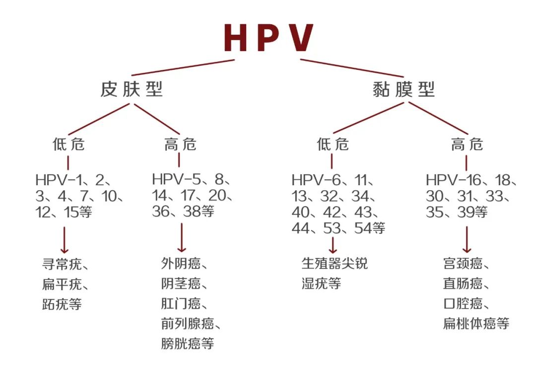 微信图片_20210623090125.jpg