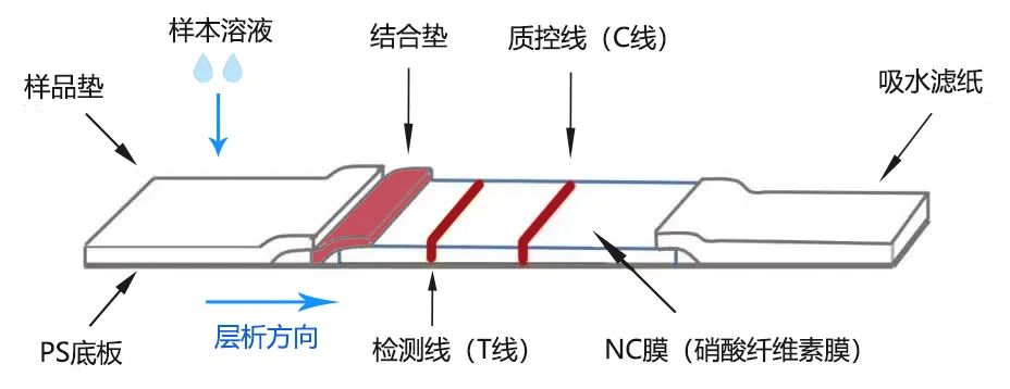 微信图片_20220407185617.jpg