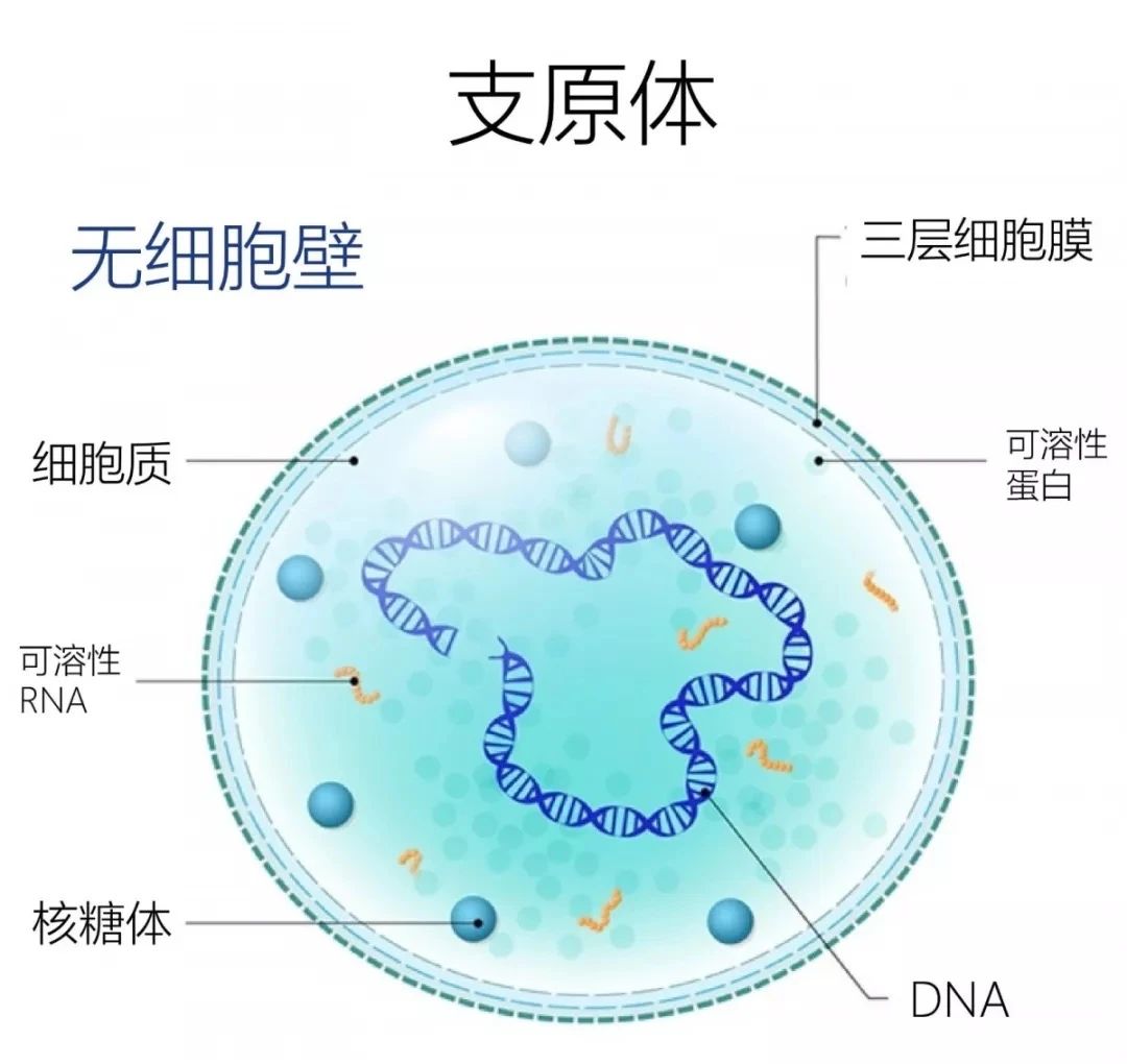 微信图片_20231026162554.jpg